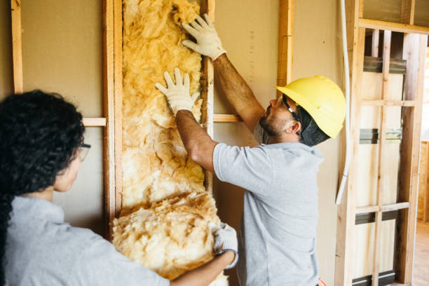 Best Batt and Roll Insulation  in Palmhurst, TX